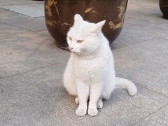 -杭州上天竺法喜讲寺