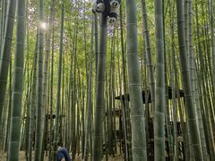 -宝岩生态观光园