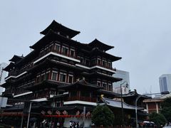 -新加坡佛牙寺龙华院