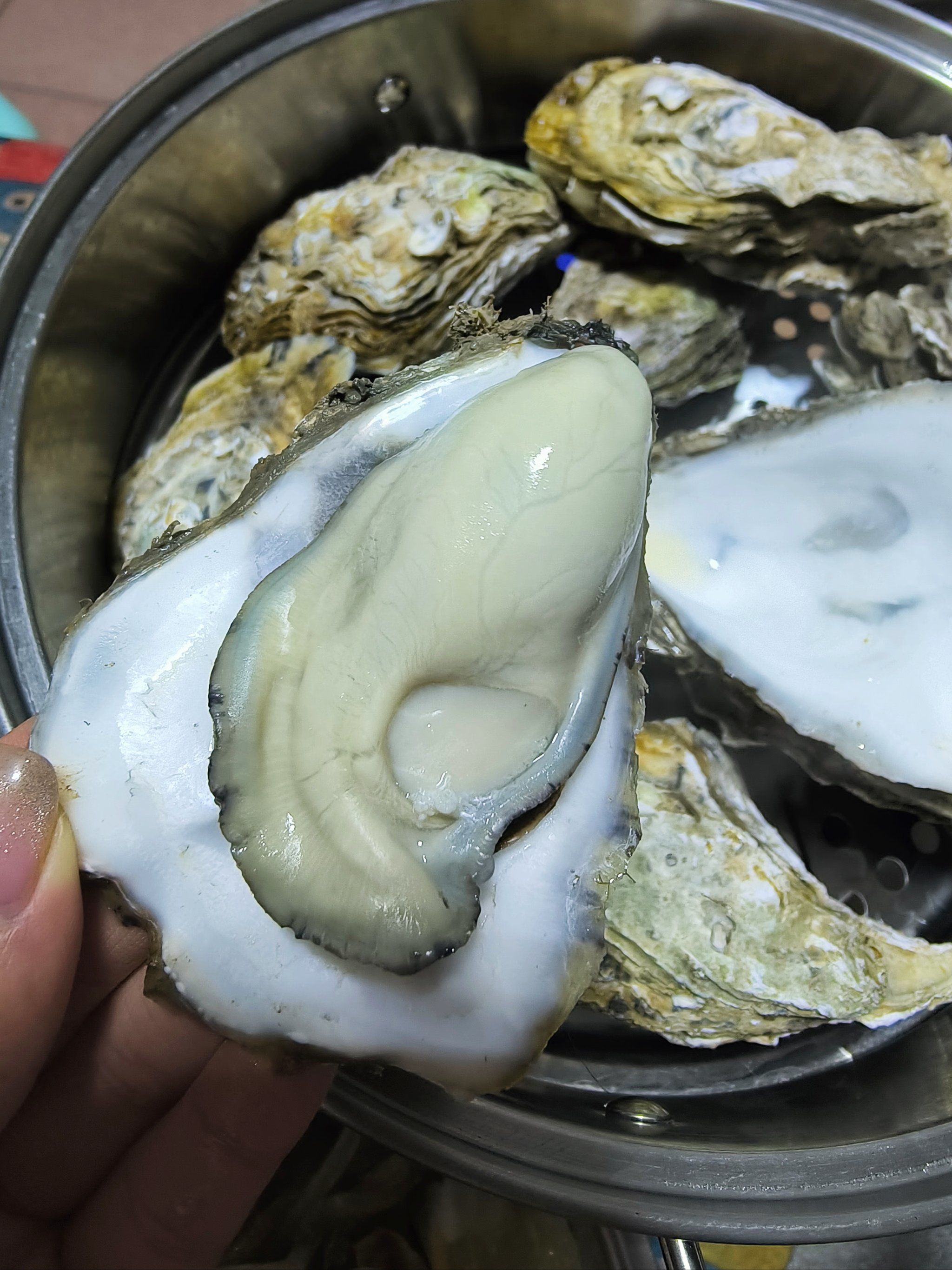 探索牡蛎养殖的新篇章：技术革新带来的机遇与挑战
