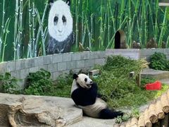 -南昌动物园