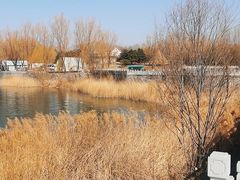 -青龙湖公园