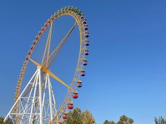 -石家庄市动物园