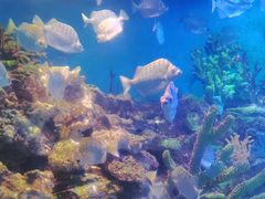 -海合安青岛极地海洋公园