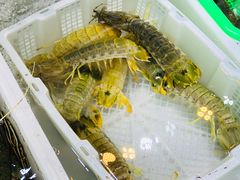 -黄沙水产交易市场