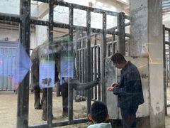 -鄂尔多斯野生动物园