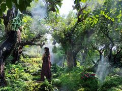 -Chom Cafe and Restaurant