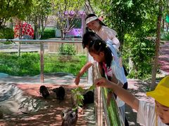 -水上乐园·欢乐世界