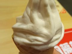 海盐椰子风味新地-麦当劳(国际大厦店)