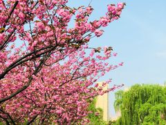 -白塘生态植物园