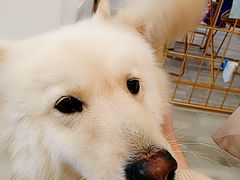 -肆兮眼镜·蔡司·徕卡战略合作店(大坪店)