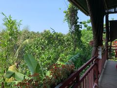 -万兴启丰椰子文化园餐厅