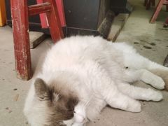 -小鱼草莓采摘园农家乐·小鱼餐厅