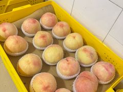 -老袁家蜜桃农场·阳山水蜜桃