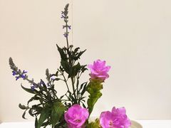 -今日陶艺(富力广场店)