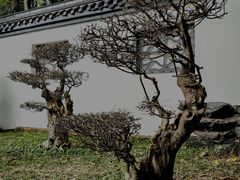 -深圳国际园林花卉博览园