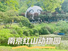 -红山森林动物园