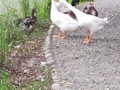 -成都中医药大学(温江校区)