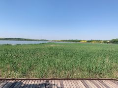 -西青郊野公园