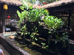 -园林美食城·本土农家菜(杨和镇店)