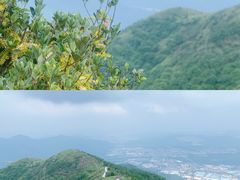 -银瓶山森林公园(谢岗镇)