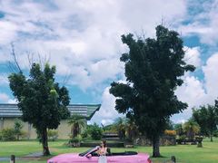 -丽姐租车