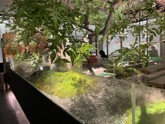 -绿茶餐厅(二七万达店)