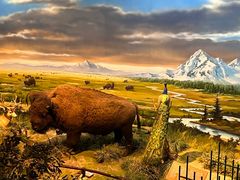 -陕西自然博物馆