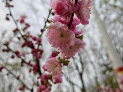 -木塔寺遗址生态公园