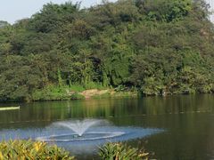 -重庆彩云湖湿地公园