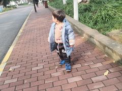 -重庆彩云湖湿地公园