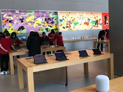 -Apple零售店(华贸购物中心店)
