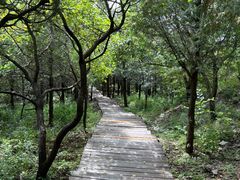 -北京十三陵国家森林公园蟒山景区