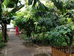 -呀路古热带植物园