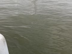 -滴水湖帆船营地