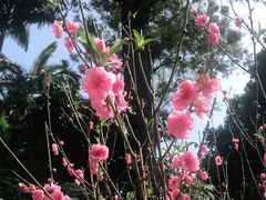 -桃花涧
