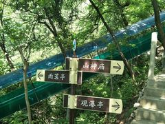 -太平万花山景区