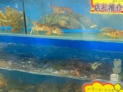 水产区-蚝专家(北滘店)