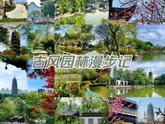 -红梅公园