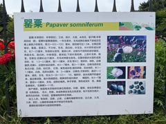 -国家植物园南园