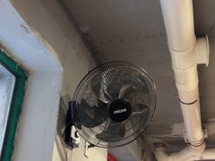 -猫头鹰炸鸡