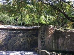 -石老人观光园