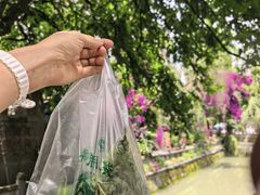 -叶婆婆豆浆馍馍