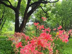 -玄武湖景区-情侣园游乐场