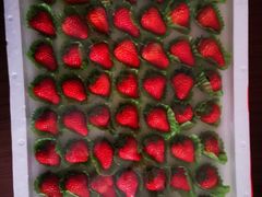 -乐乐鲜果水果超市(河北店)