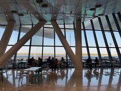 -贝林大翅鲸简餐厅(国家海洋博物馆店)