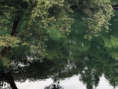 -杭州花家山庄