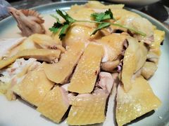 -金山记靓鸡专门店·中山菜