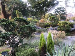 -东莞植物园
