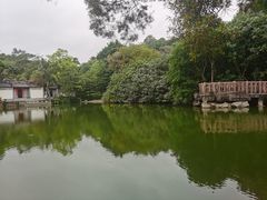 -深圳国际园林花卉博览园